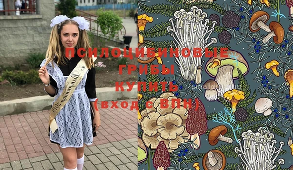 стафф Верхнеуральск