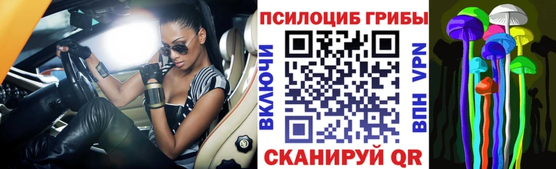 Галлюциногенные грибы Psilocybe  Гаджиево 